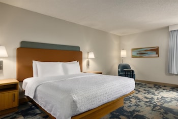 Room, 1 King Bed, Non Smoking