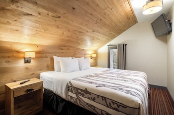 Suite (Two Bedroom Wolf)