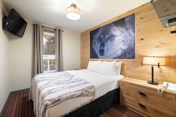 Suite (Two Bedroom Wolf)
