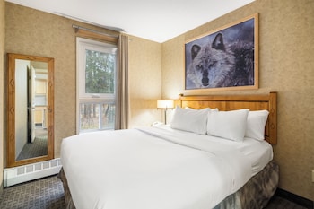 Condo, 1 Bedroom (with Kitchen)