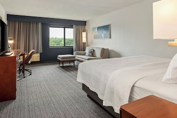 Room, 1 King Bed with Sofa bed, River View