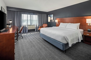 Room, 1 King Bed with Sofa bed