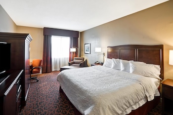 Room, 1 King Bed, Non Smoking
