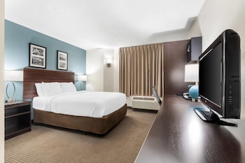 Room, 1 Queen Bed, Accessible, Non Smoking (Roll-In Shower)