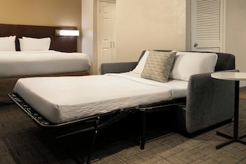 Studio, 1 King Bed with Sofa bed