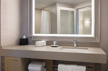 Traditional Room, 1 King Bed (Mobility/Hearing Access, Roll-in Shwr)