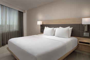 Suite, 1 King Bed with Sofa bed