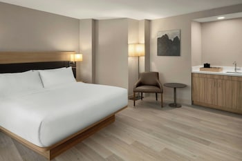 Studio, 1 King Bed