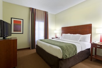 Suite, 1 King Bed with Sofa bed, Non Smoking