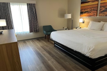 Room, 1 King Bed, Non Smoking