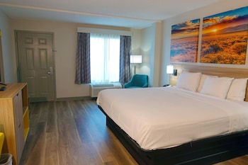 Room, 1 King Bed, Non Smoking