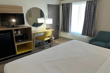 Room, 1 King Bed, Non Smoking