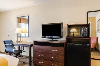 Room, 1 King Bed, Non Smoking