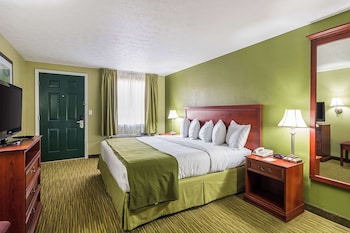 Room, 1 King Bed, Accessible, Non Smoking