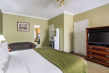 Room, 1 King Bed, Non Smoking