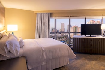 Suite, 1 King Bed with Sofa bed