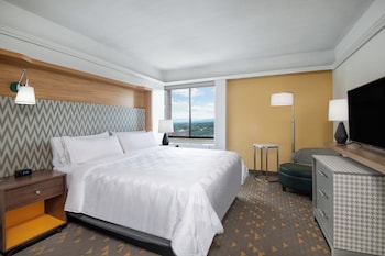 Suite, 1 King Bed, Accessible (Roll-In Shower)