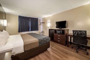 Standard Room, 1 King Bed, Non Smoking (Ground Floor, Pets Allowed)