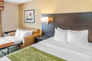 Standard Room, 1 Queen Bed with Sofa bed, Non Smoking (Interior Corridor 2nd Floor)