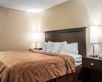 Standard Room, 1 King Bed, Non Smoking