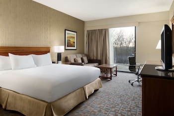 Room, 1 King Bed, Non Smoking
