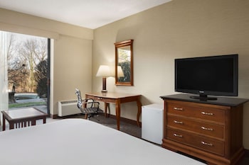 Deluxe Room, 1 King Bed, Non Smoking, Patio