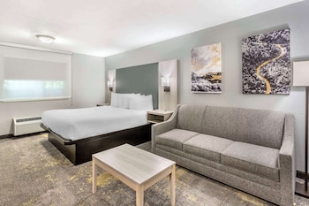 Junior Suite, 1 King Bed, Non Smoking, Refrigerator & Microwave (with Sofabed)