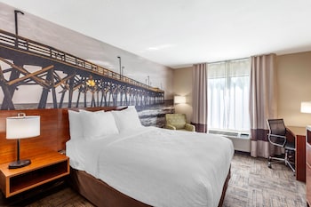 Standard Room, 1 King Bed, Non Smoking