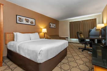 Comfort Care, Standard Room, 1 Queen Bed with Sofa bed, Non Smoking