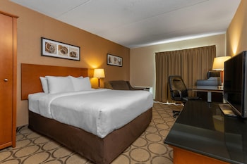 Standard Room, 1 Queen Bed with Sofa bed, Non Smoking, Ground Floor
