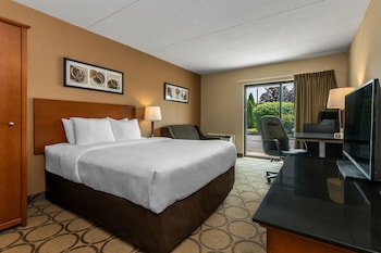 Standard Room, 1 Queen Bed with Sofa bed, Non Smoking, Ground Floor