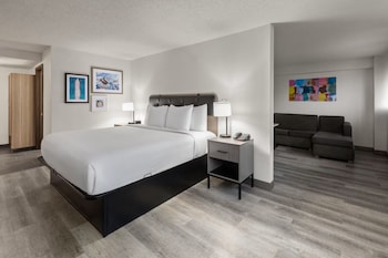 Suite, 1 King Bed
