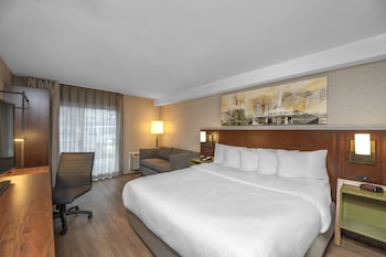 Room, 1 King Bed, Non Smoking, Ground Floor Pet-Friendly