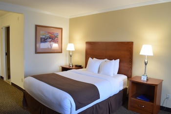 Standard Room, 1 Queen Bed, Non Smoking, Refrigerator & Microwave