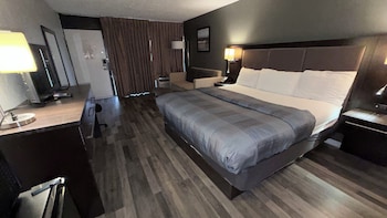 Suite, 1 King Bed with Sofa bed, Non Smoking