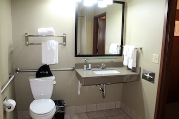 Standard Room, 1 King Bed, Non Smoking, Refrigerator & Microwave (with Sofabed)