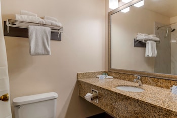 Standard Room, 1 King Bed, Non Smoking, Refrigerator & Microwave