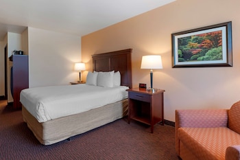 Standard Room, 1 Queen Bed, Non Smoking, Refrigerator & Microwave