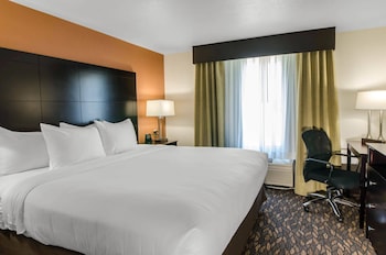 Suite, 1 King Bed with Sofa bed, Non Smoking