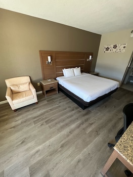 Standard Room, 1 King Bed, Non Smoking
