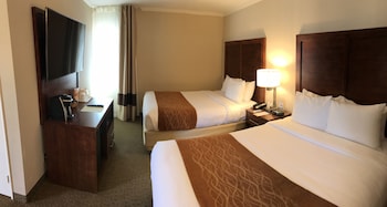 Deluxe Suite, Multiple Beds, Non Smoking