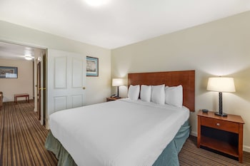 Suite, 1 King Bed, Non Smoking, Refrigerator & Microwave