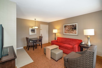 Suite, 1 King Bed, Accessible (Hearing)