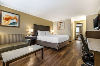 Business Room, 1 King Bed, Non Smoking, Microwave
