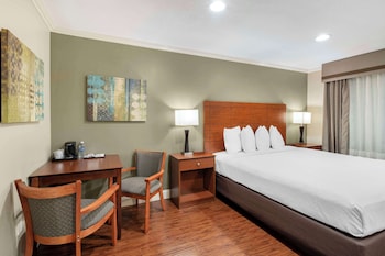 Standard Room, 1 King Bed, Non Smoking, Refrigerator & Microwave