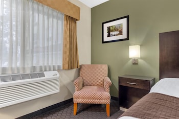 Standard Room, 1 King Bed, Non Smoking