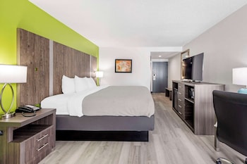 Room, 1 King Bed, Non Smoking (2 person whirlpool  in bathroom)