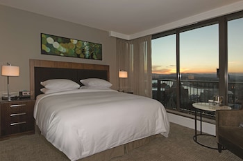 King, Family Suite, Kitchenette