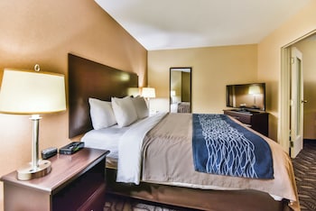 Suite, 1 King Bed with Sofa bed, Non Smoking