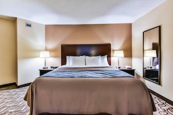 Suite, 1 King Bed with Sofa bed, Non Smoking